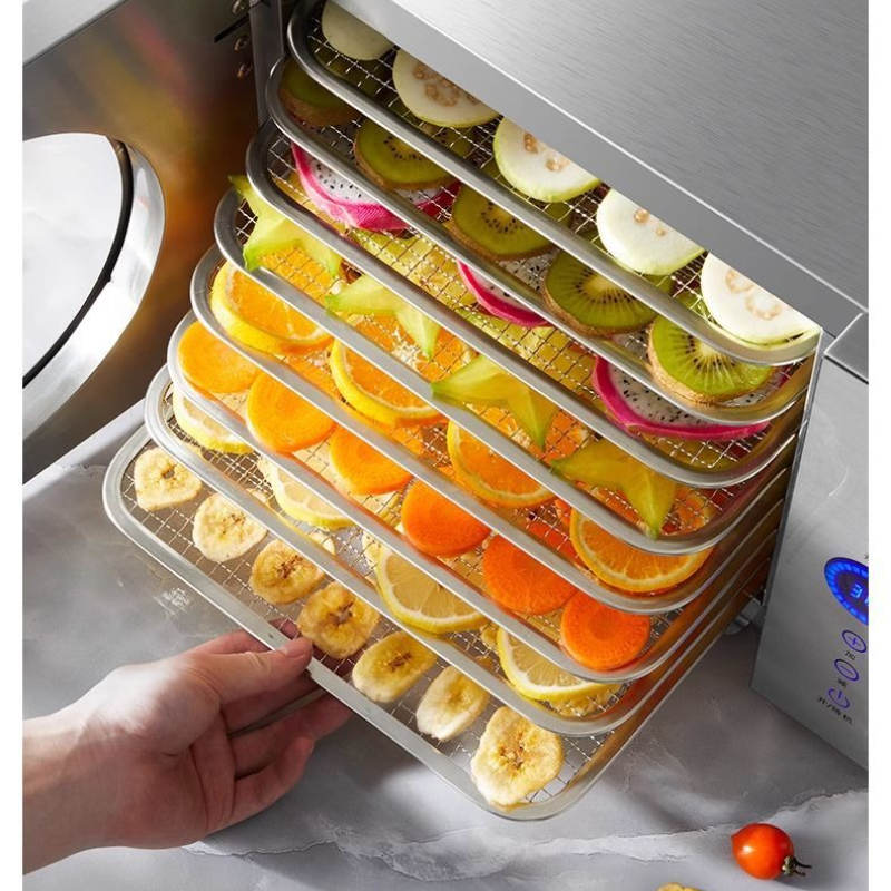 Home/Commercial Small Food Deh - Food Dehydrator Snacks recensione e prezzo