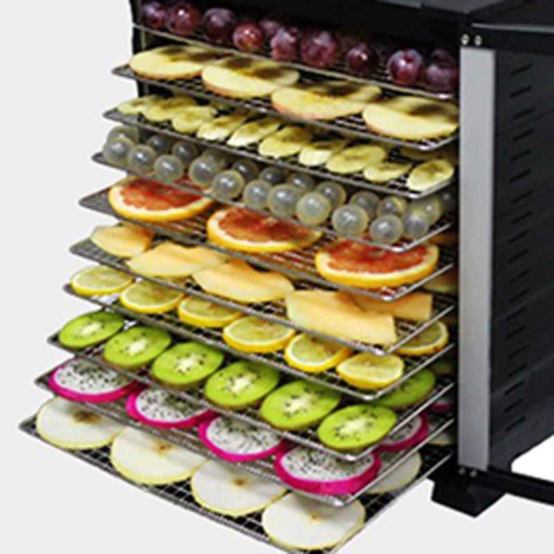 10 Trays Food Dehydrator House - Food Dehydrator Snacks recensione e prezzo
