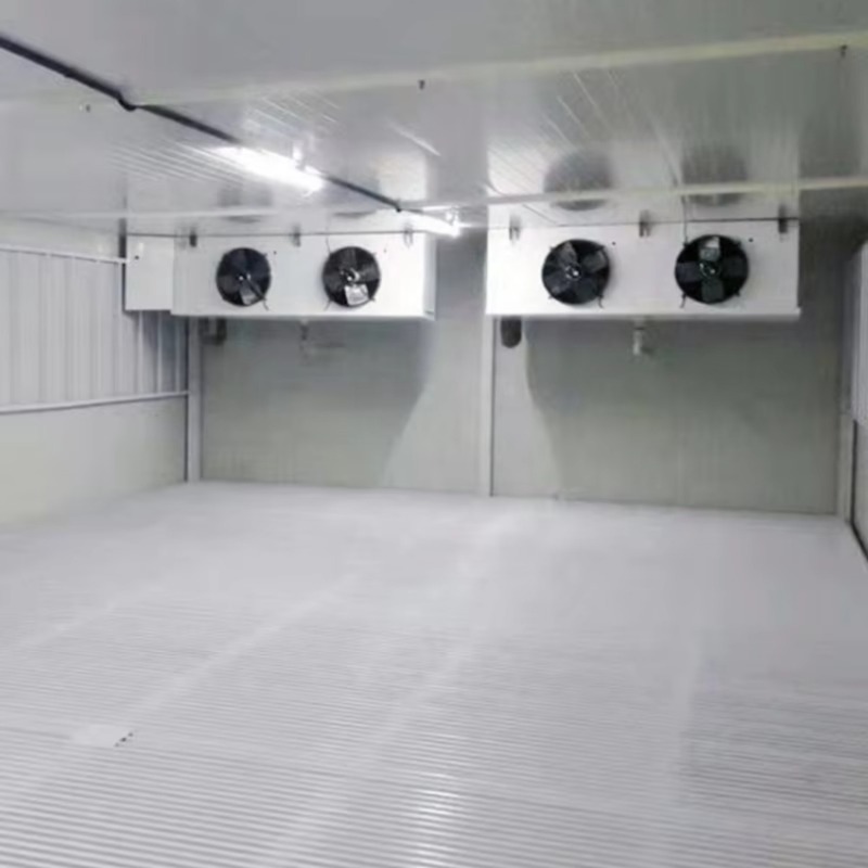 Walk In Refrigerator Cold Stor - Food Storage Technology recensie en prijs