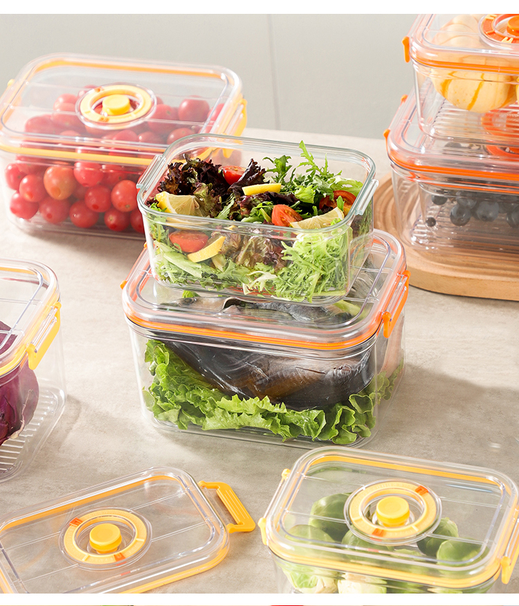Vacuum Fresh-keeping Box Refri - Food Storage Vacuum recensie en prijs