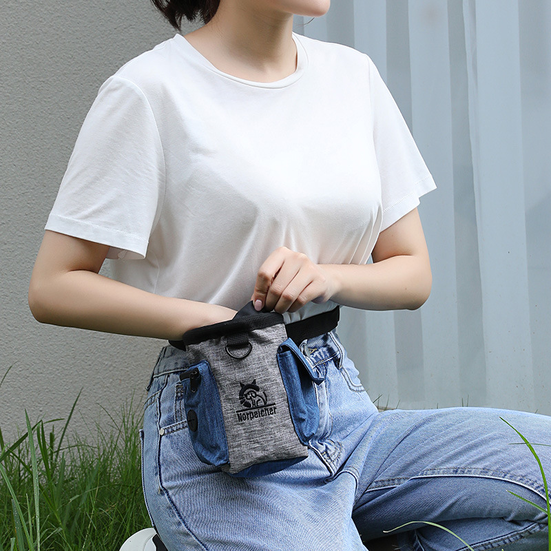 Pet Training Fanny Pack Walkin - Food Snacks Packaging recensione e prezzo