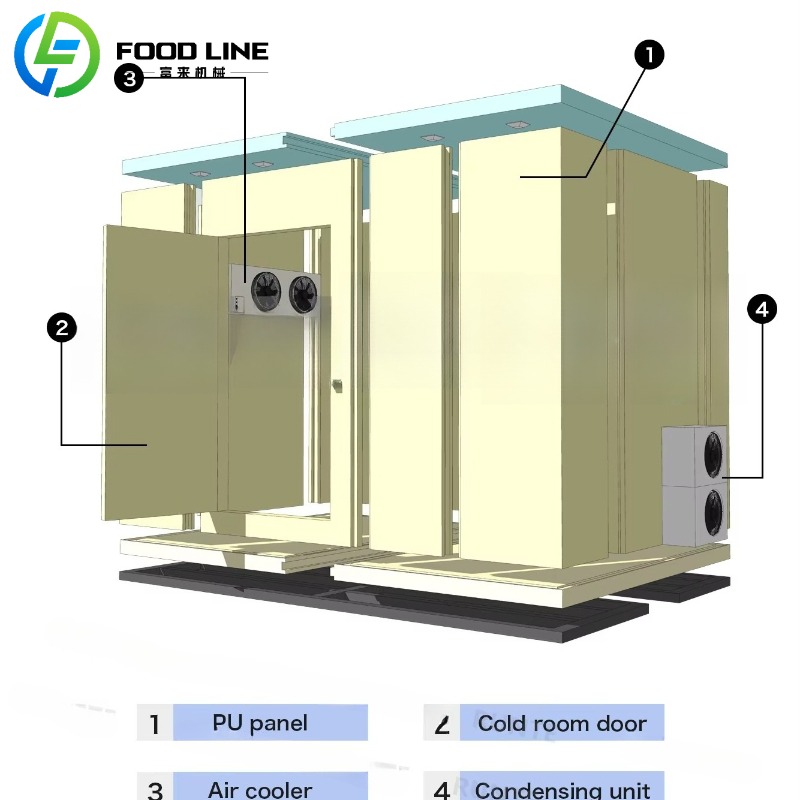 Custom Cold Food Storage Conta - Food In Snacks recensione e prezzo