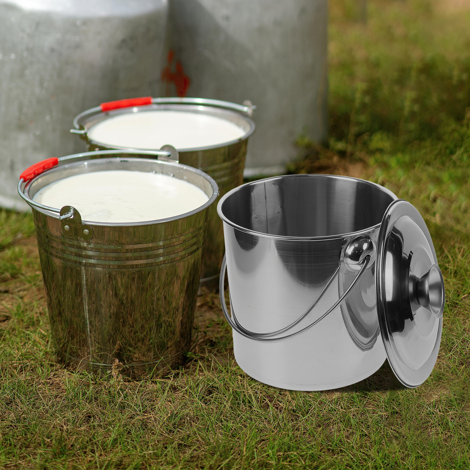 Stainless Steel Milk Bucket wi - Food Storage For Restaurant recensie en prijs