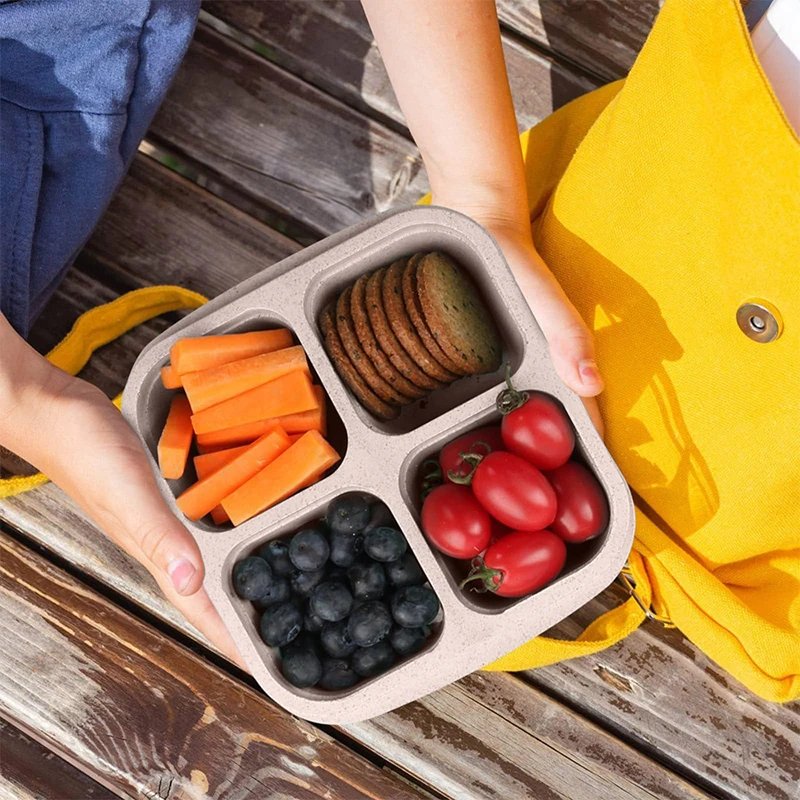 4 Grids Food Storage Box Porta - Food Storage Heat recensie en prijs
