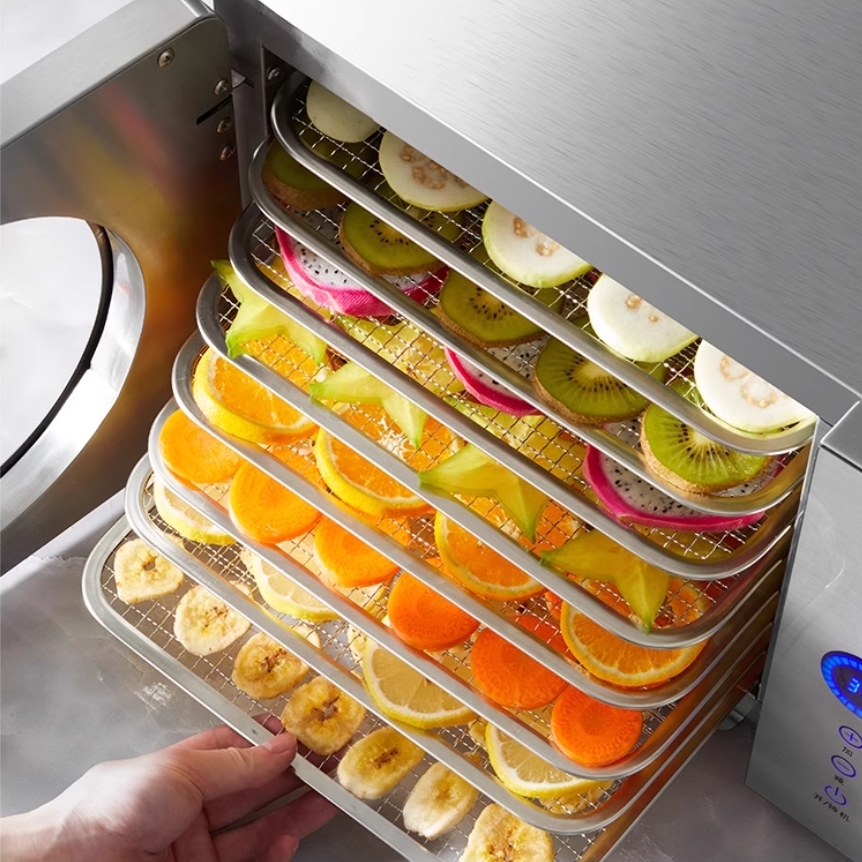 Smart Temperature Control Food - Food Dehydrator Snacks recensione e prezzo