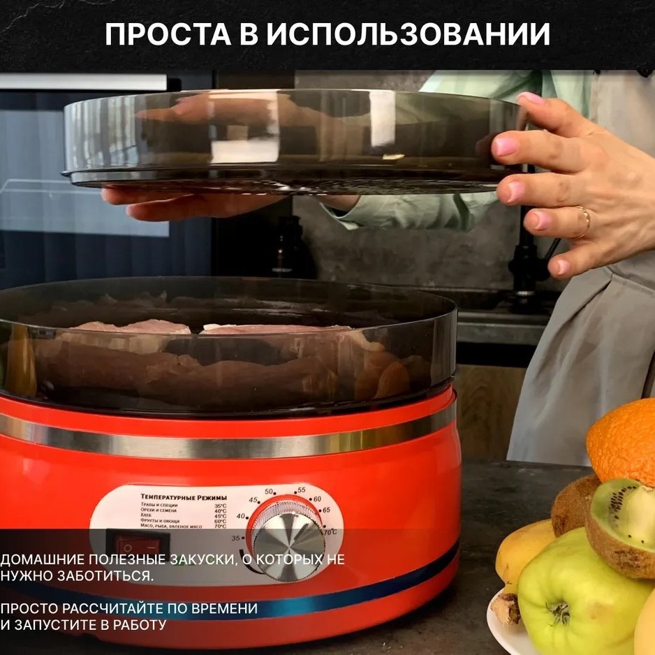 Household small fruit drying m - Food Dehydrator Snacks recensione e prezzo