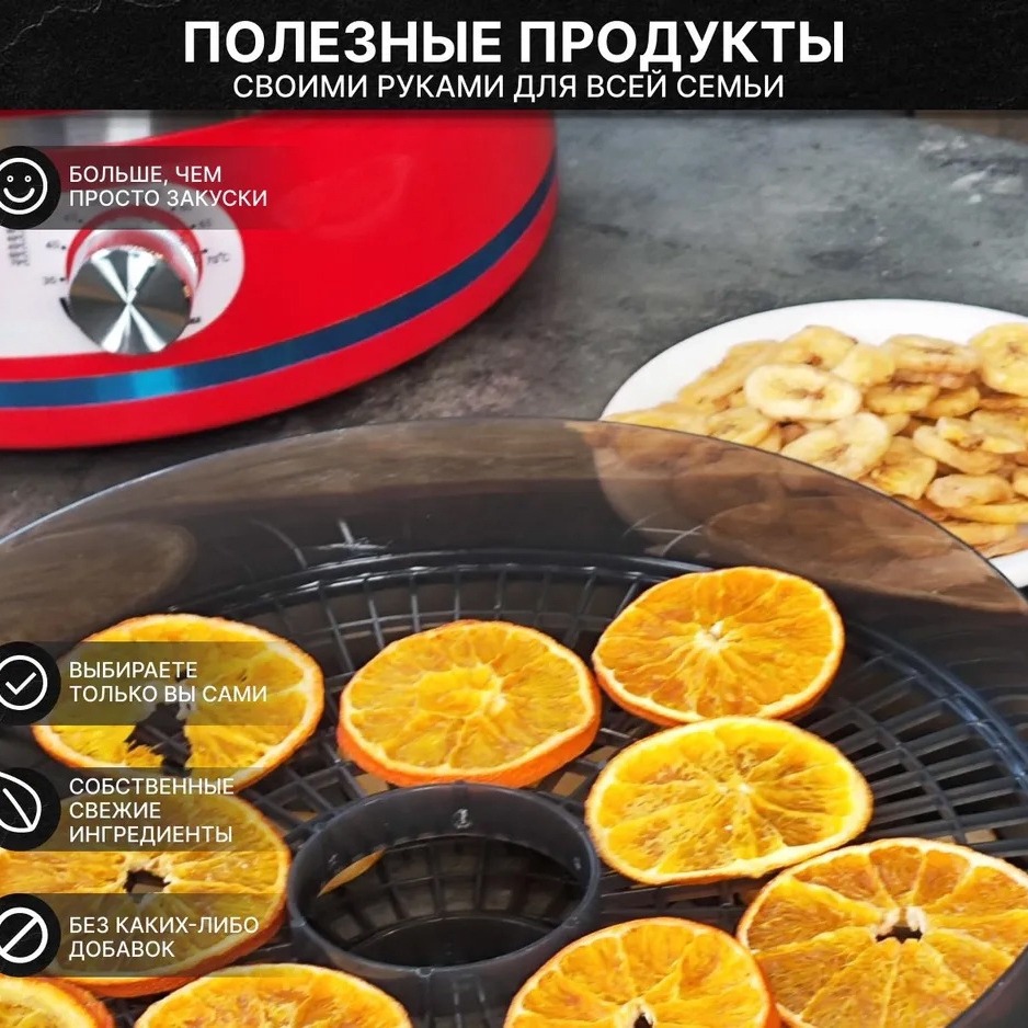 Household small fruit drying m - Food Dehydrator Snacks recensione e prezzo