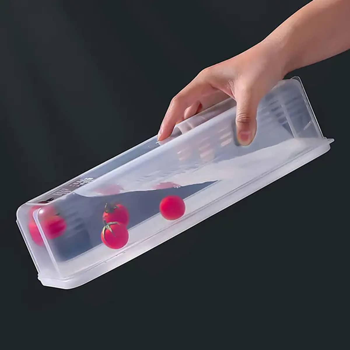 1 Plastic Transparent Storage  - Food Storage Heat recensie en prijs